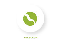 EDITABLES-ICONOS-BANNER15-WEB